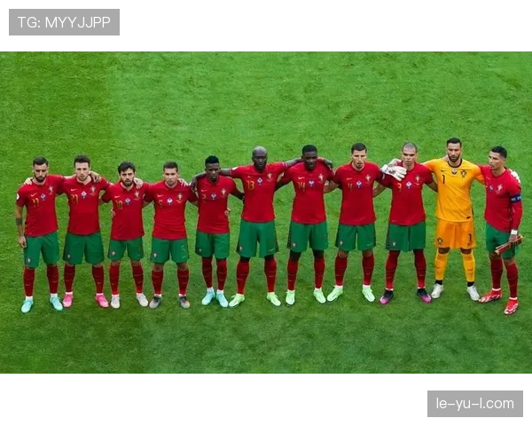 厄德高欧战对阵欧洲强队的表现解析 厄德高欧战对阵欧洲强队的表现解析